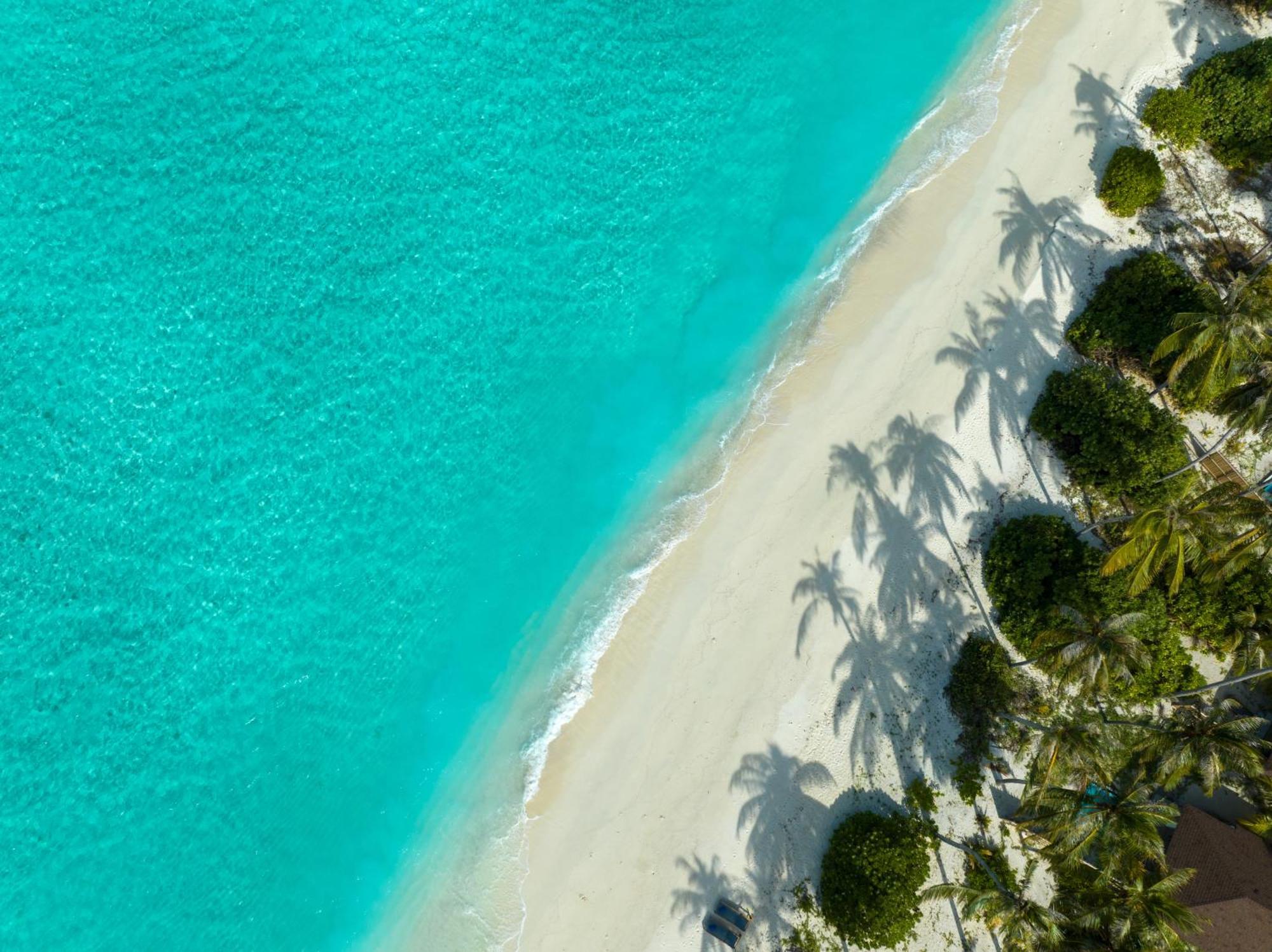 Avani Plus Fares Maldives Resort - 50 Percent Off On Seaplane Transfer For Minimum Stay Of 3 Nights And More For Stays Until 31 October 2025 Kendhoo Rom bilde